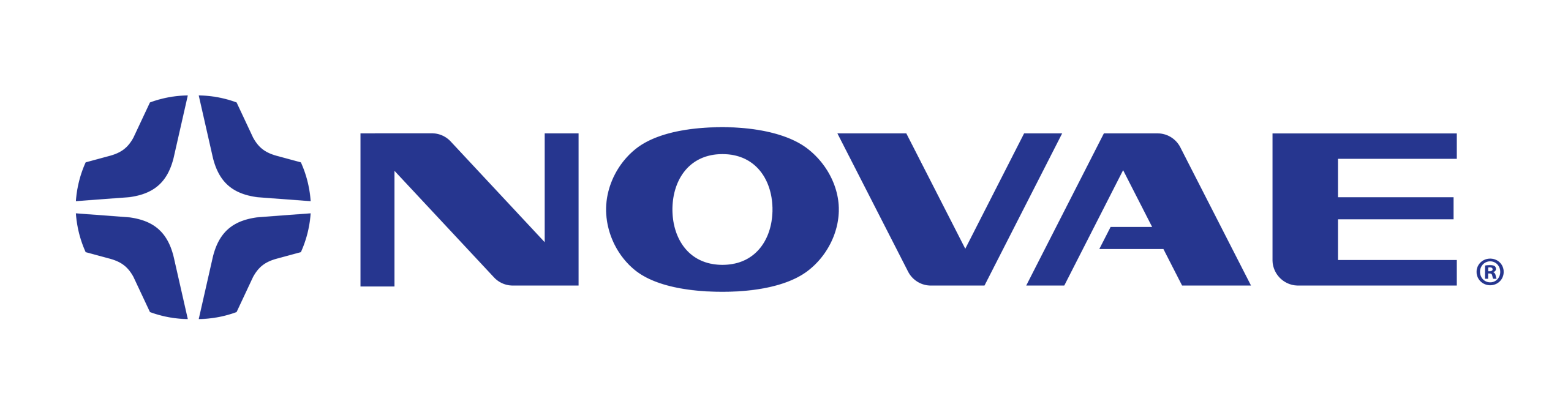 Novae