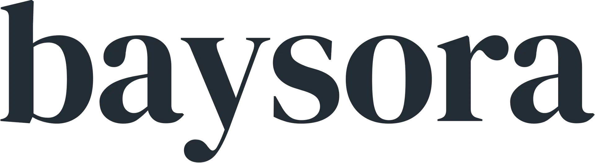 Baysora Accounting Partners