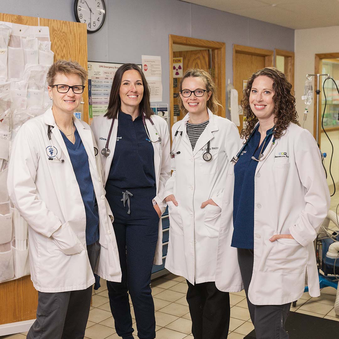 Veterinarian Partners